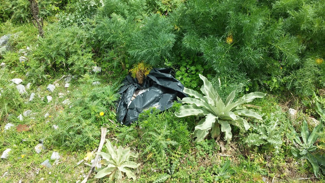 Blog del Mela Mi ricordo montagne