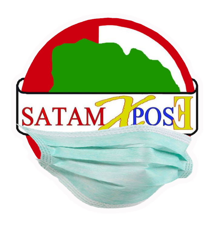 SATAMEXPOSE.COM