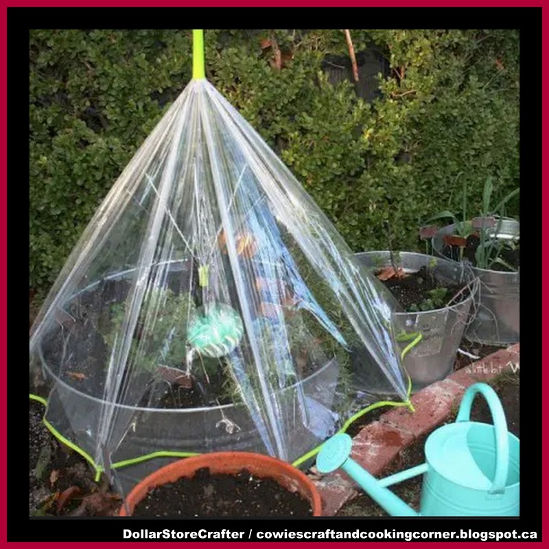 Dollar Store Crafter Make A Greenhouse Using A Dollar Tree Umbrella