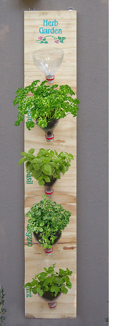 Hängenden Kräutergarten selber machen: überraschend einfache Ideen und