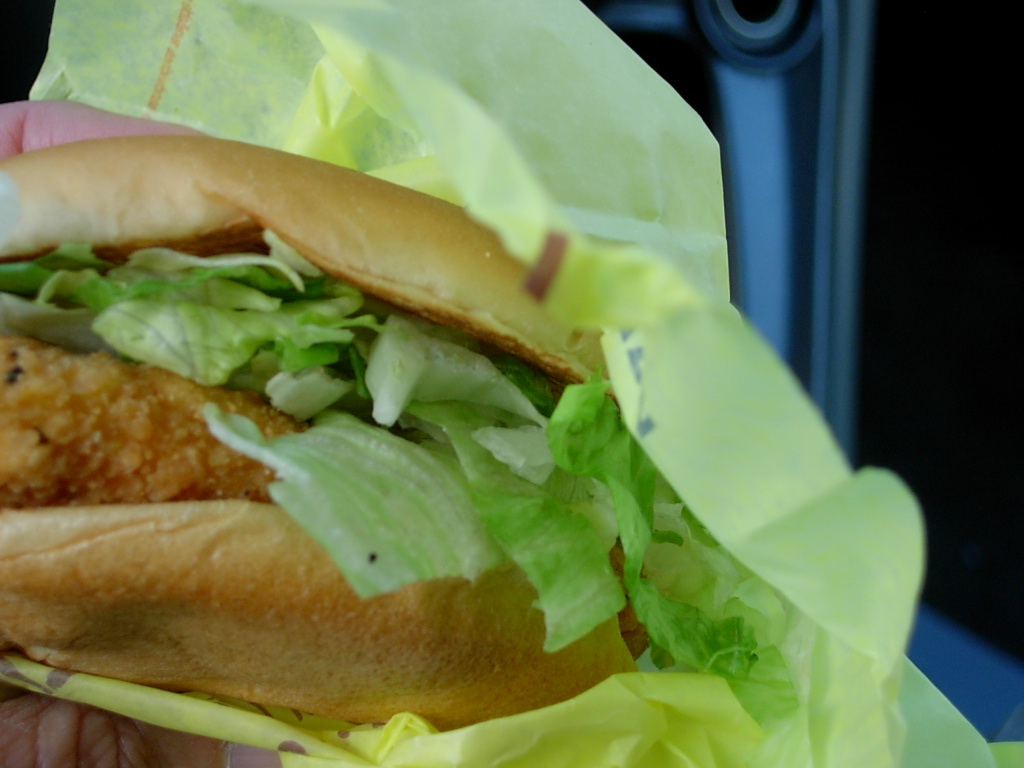 Fast Food Yummy My dinner tonight at another McDonald's location