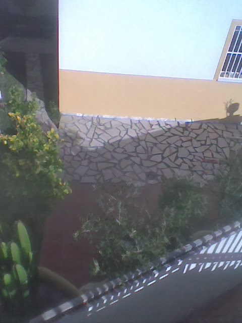 Multi Reparaciones y Reformas (Mantenimiento): Suelo de patio con