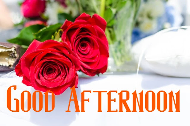 Good Afternoon Flower HD Images Download Good Afternoon Flower HD Images Download
