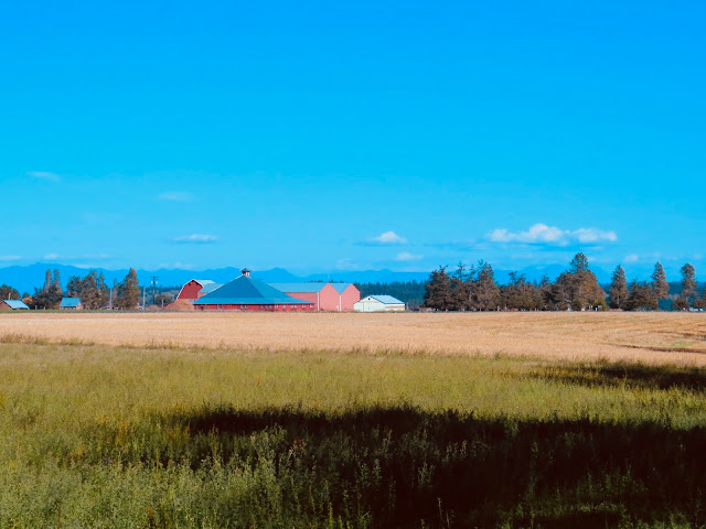 Pratt Loop Trail at Robert Y. Pratt Preserve, Coupeville, Whidbey Island