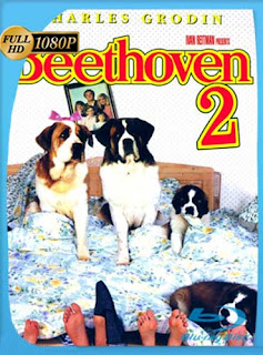 Beethoven 2 (1993) HD [1080p] Latino [GoogleDrive] SXGO