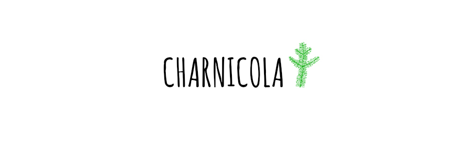 Charnicola