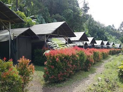 Penginapan Dekat Bukit Bintang Bogor