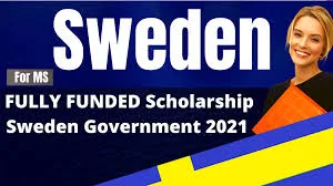 Study in Sweden: Linnaeus University Scholarships 2021/2022 for International Students