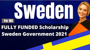 Study in Sweden: Linnaeus University Scholarships 2021/2022 for International Students