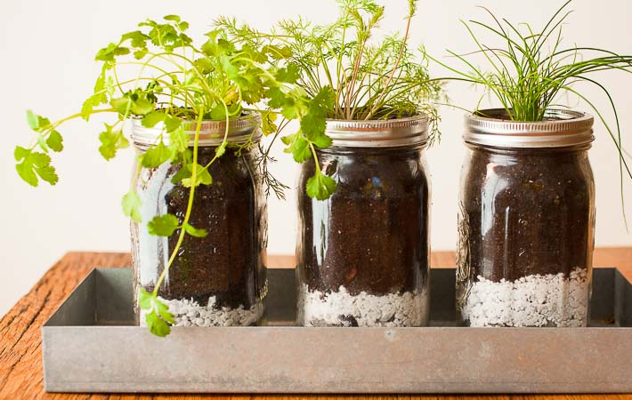 https://passthepistil.com/diy-mason-jar-herb-garden/