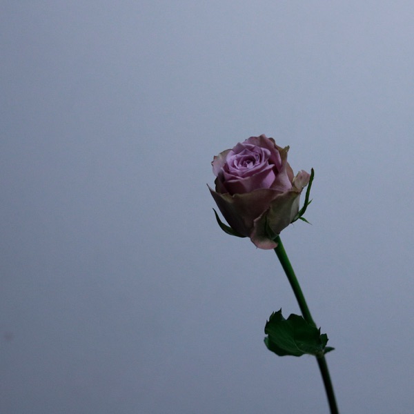 5DNR – Undelivered – EP