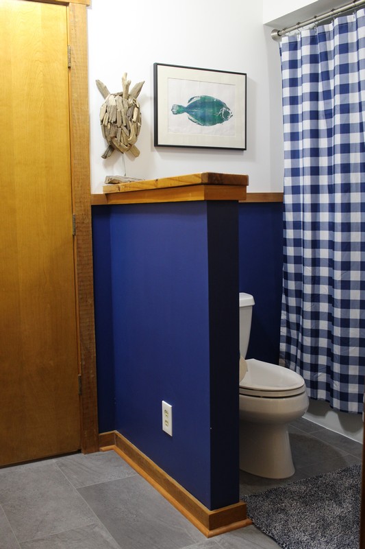 Jack and Jill Bathroom with White And Navy Walls and a gingham shower curtain