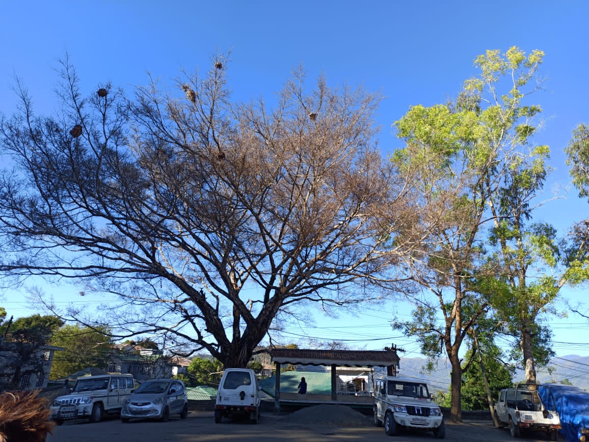 PHOTO Lawngtlai district Deputy Commissioner office