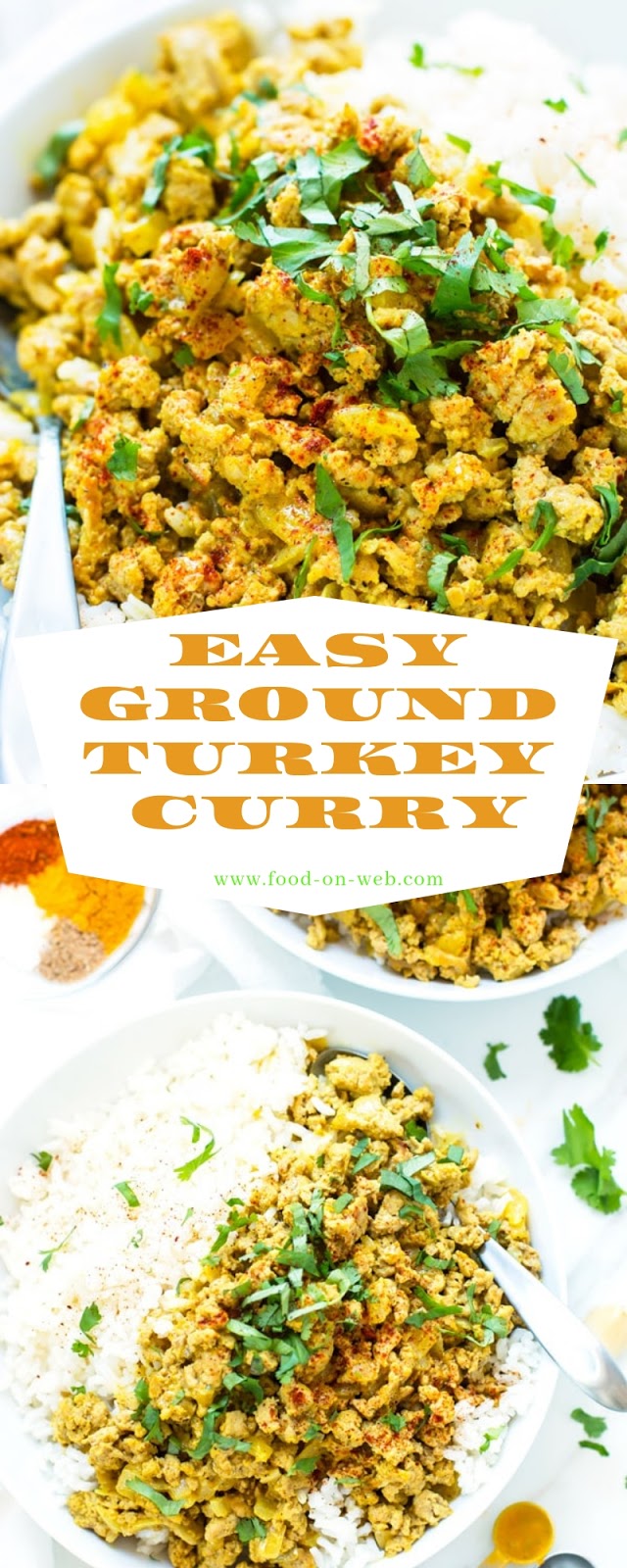 Turkey curry recipe eatwell rhubarb jenny ginger Easy Ground Turkey Curry