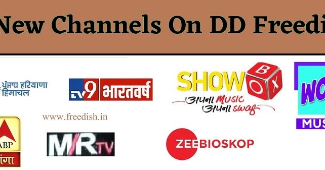 E Auction New Channel List Dd Free Dish 2021 Free Dish New Channel