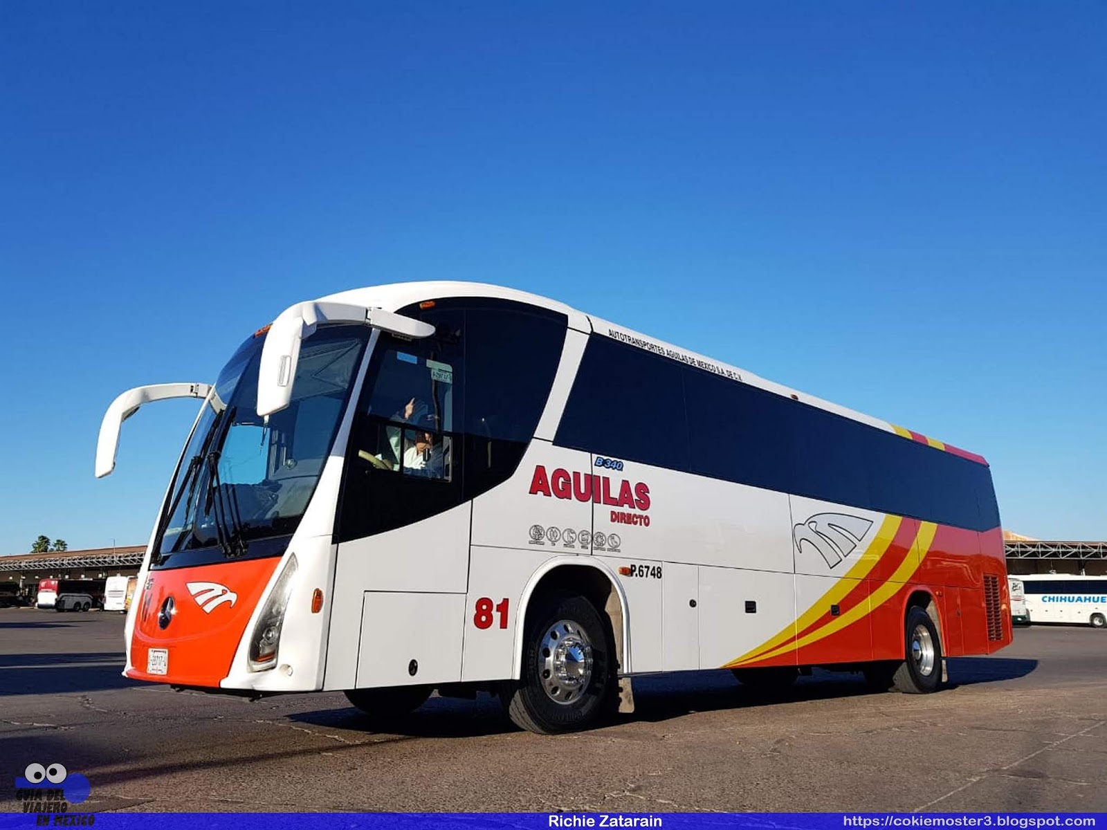 Total 53+ imagen autotransportes aguilas de mexico horarios Abzlocal.mx