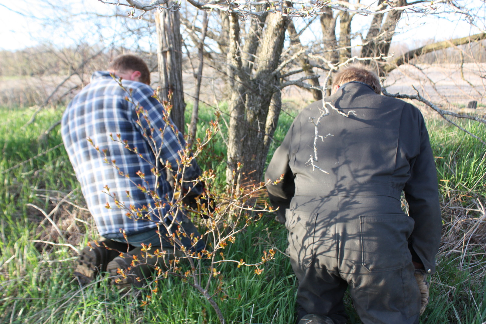Anja's Photo Journal Remove Barbed Wire
