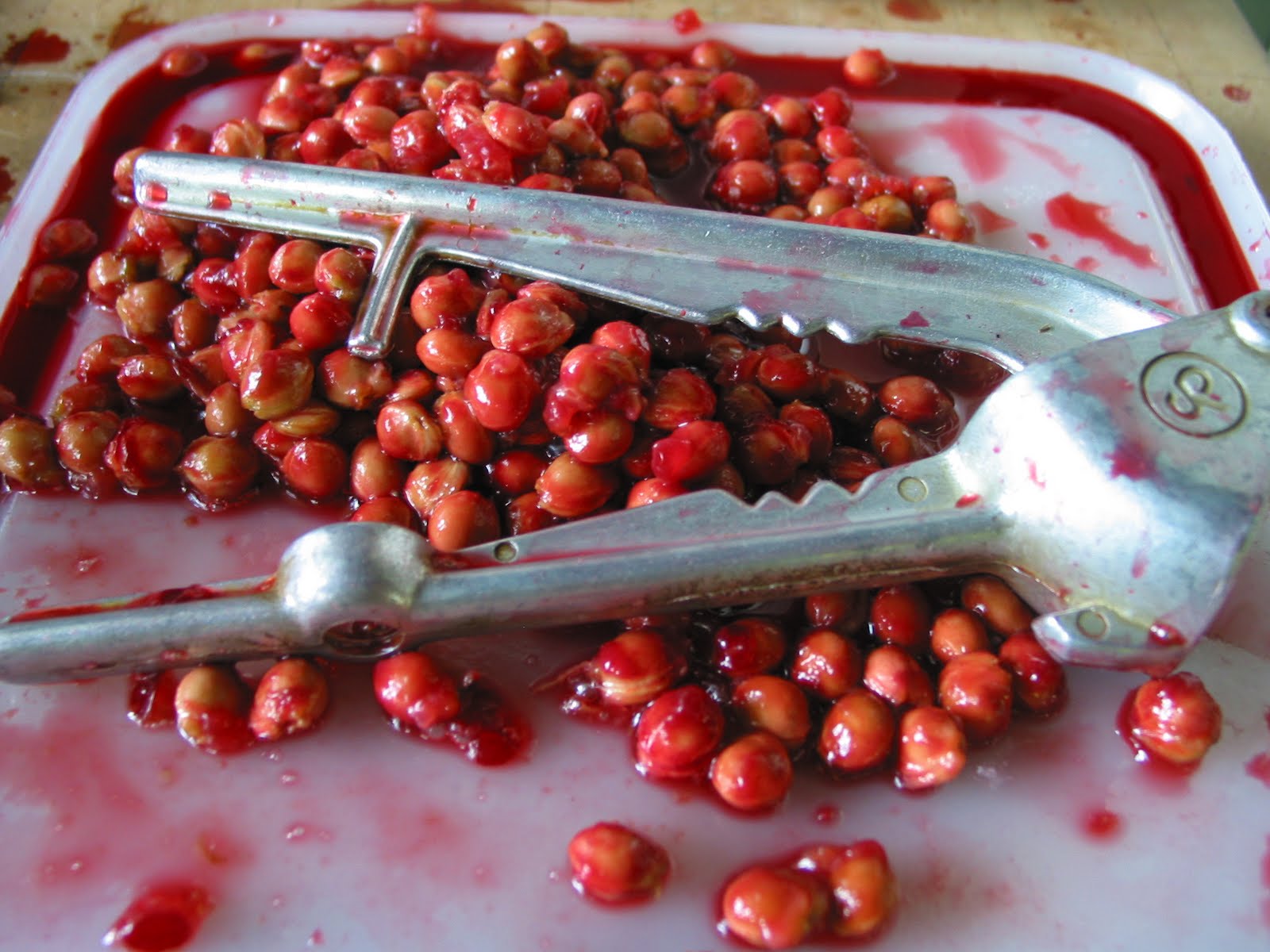 What Julia Ate Cherry Pit Liqueur