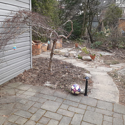 Toronto Garden Makeover Before in Mount Pleasant East by Paul Jung--a Toronto Organic Gardener