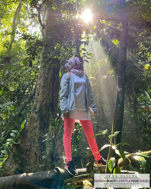 Sungai Pisang Waterfall Gombak