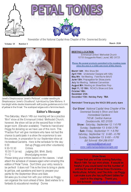 Marquesa Of Mayook Mini Lilac Bush