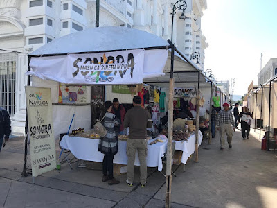 Participa Navojoa en Expo Turística, Sonora con Actitur