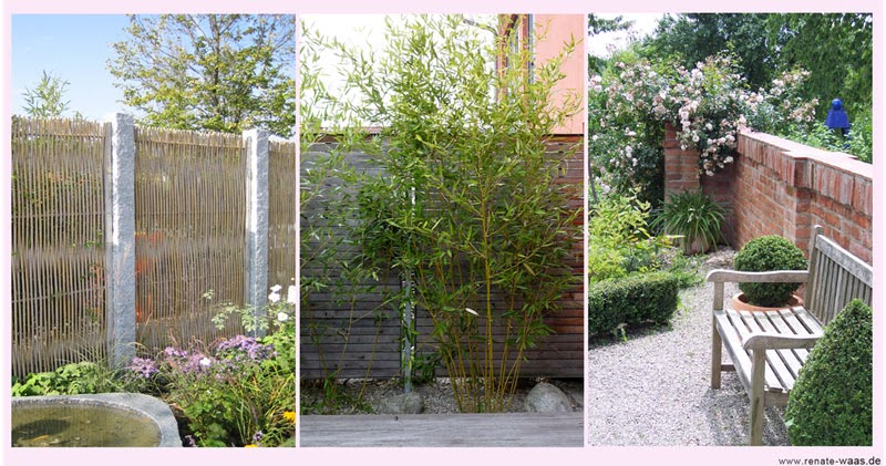 Gartenblog GeniesserGarten Sichtschutz Gartenblog GeniesserGarten Sichtschutz