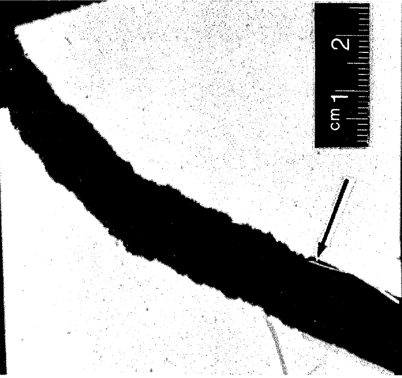 Slivers and Shives Troubleshooting Paper Defects