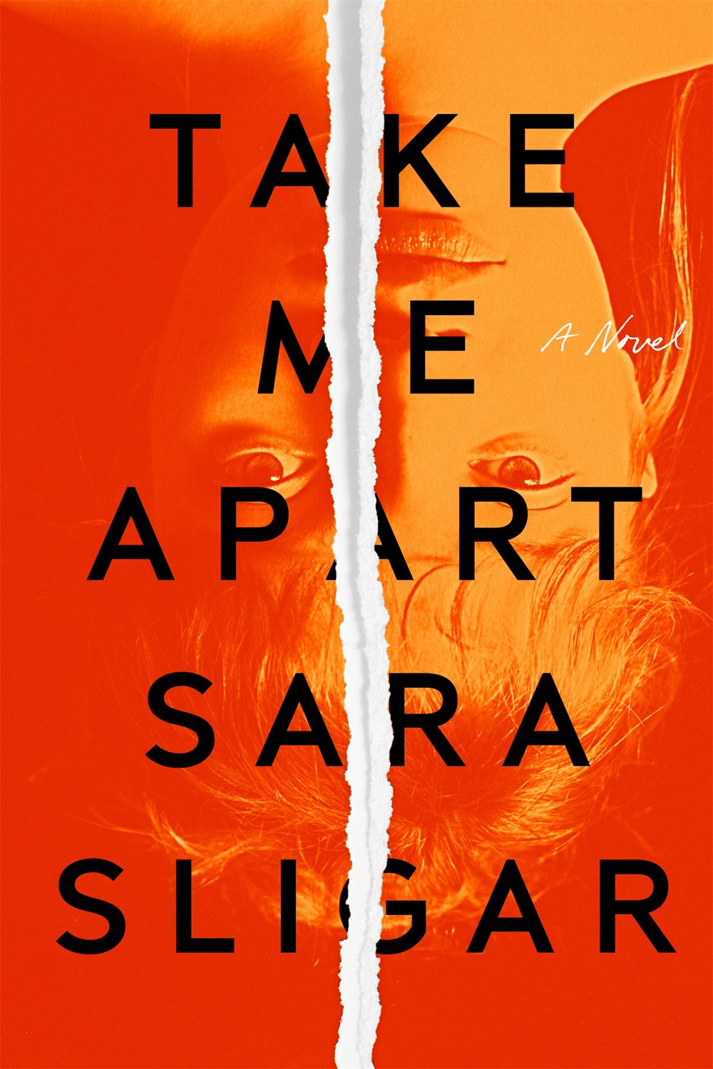 Review: Take Me Apart by Sara Sligar
