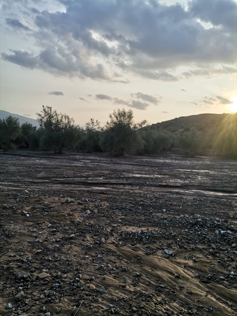 IMG 4093 | Lamianow.gr