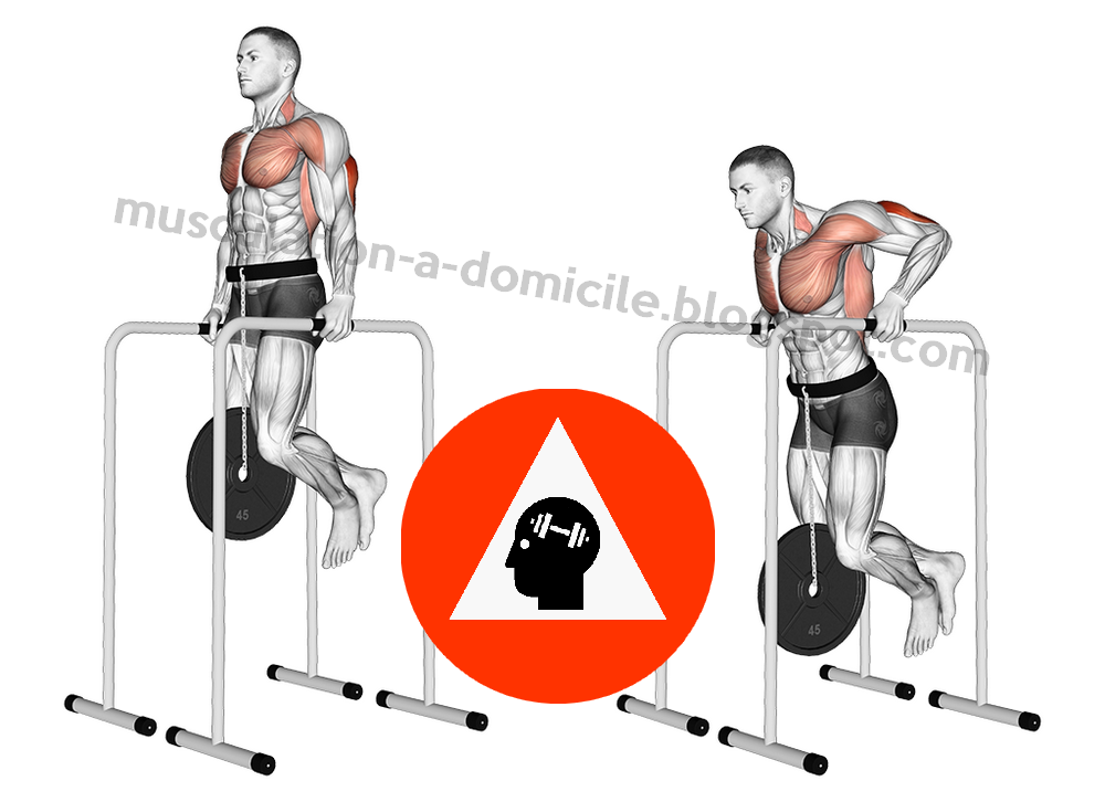 dips
