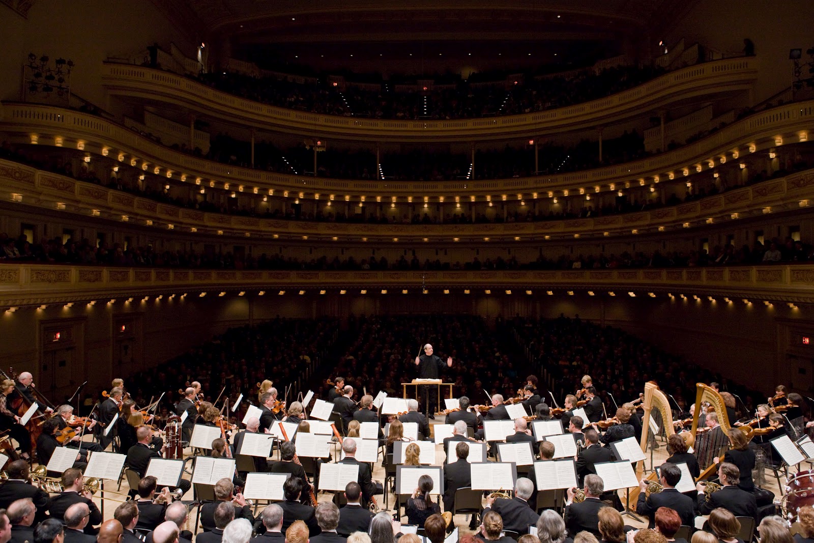 The Curious August 2012