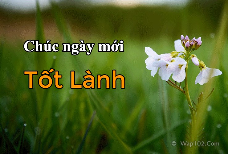 Chúc ngày mới tốt lành bằng tiếng Anh ngắn nhưng ấn tượng