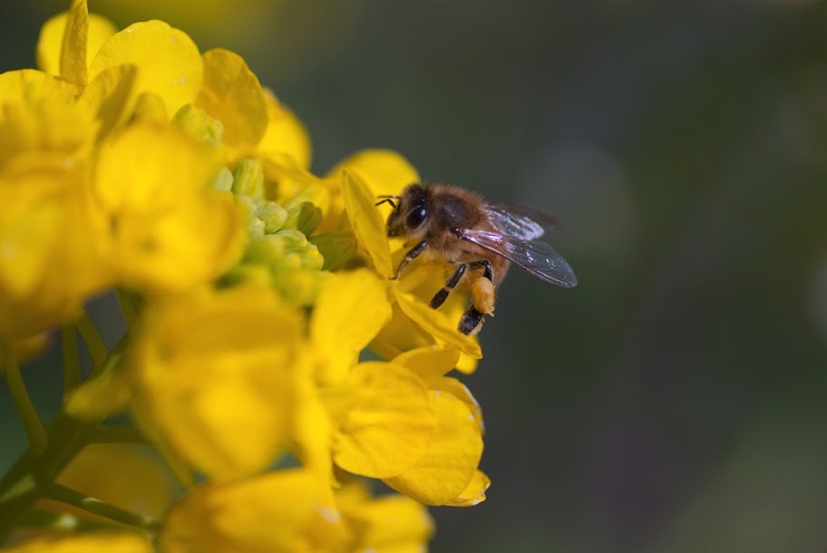 Full Entertainment in life by Photo and animation : Best Natural