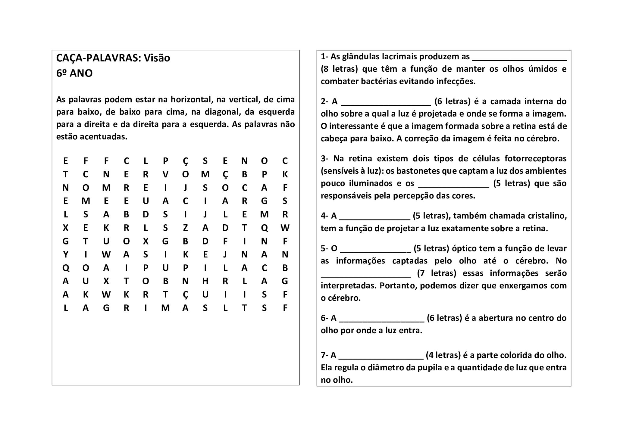 As células podem conseguir energia de várias formas. No caça-palavras a  seguir, você vai encontrar 