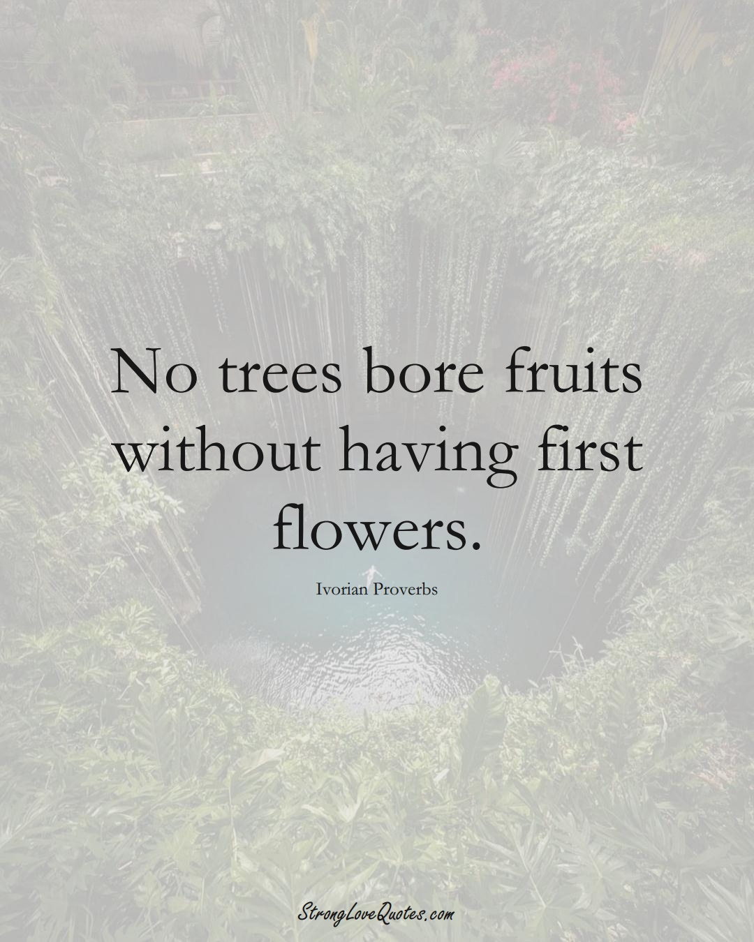 No trees bore fruits without having first flowers. (Ivorian Sayings);  #AfricanSayings