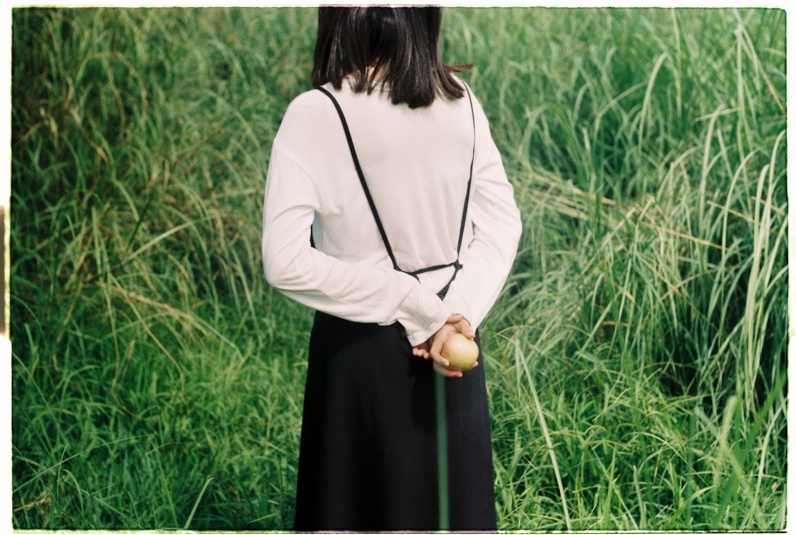 SONGS - Wild and Young