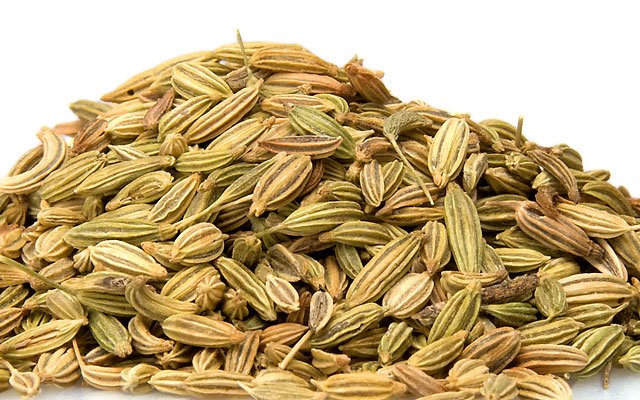 Fennel