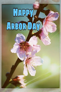 Happy Arbor Day greeting cards