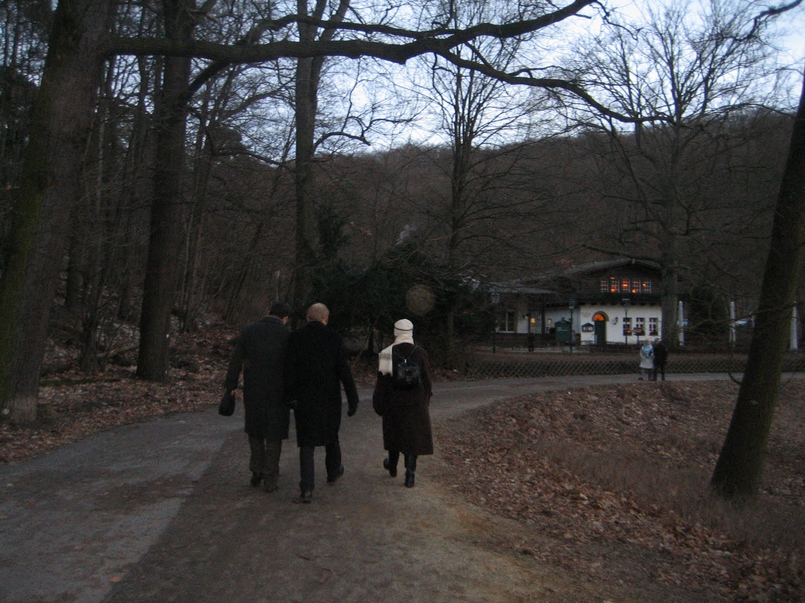 La nave de los locos El viaje de los gansos salvajes