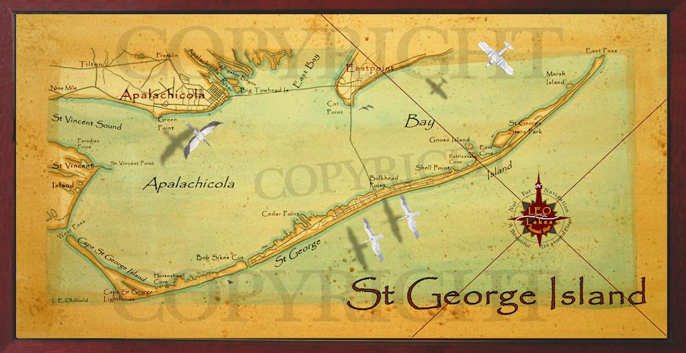 Old field Studio & Leo Lakes: St George Island and Apalachicola Bay