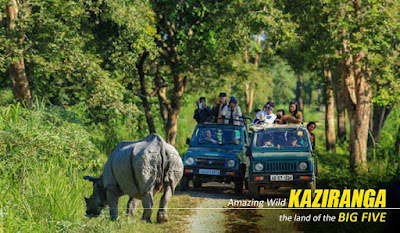 Kaziranga Jeep Safari Tour Booking from NatureWings