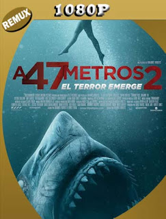 Terror a 47 metros: El segundo ataque (2019) REMUX 1080p Latino [GoogleDrive] SXGO