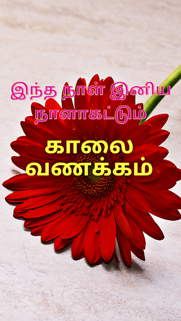Good morning Images in Tamil | Good Morning Quotes, Gif, God - Total Tamil