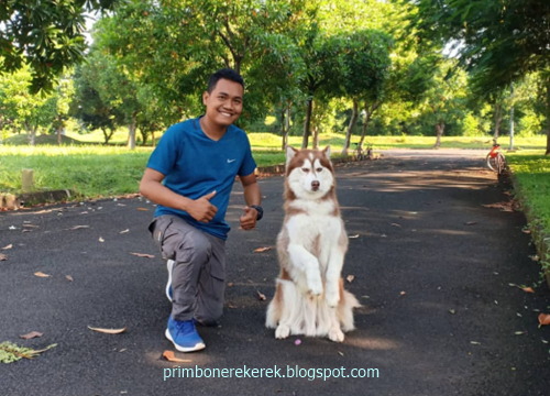 15 Tafsir Mimpi Jadi Pelatih Anjing Menurut Primbon Jawa Dan Erek Erek