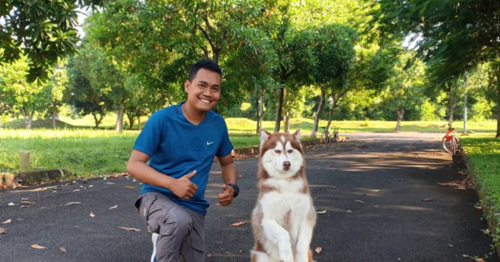 45 Mimpi anjing 3d