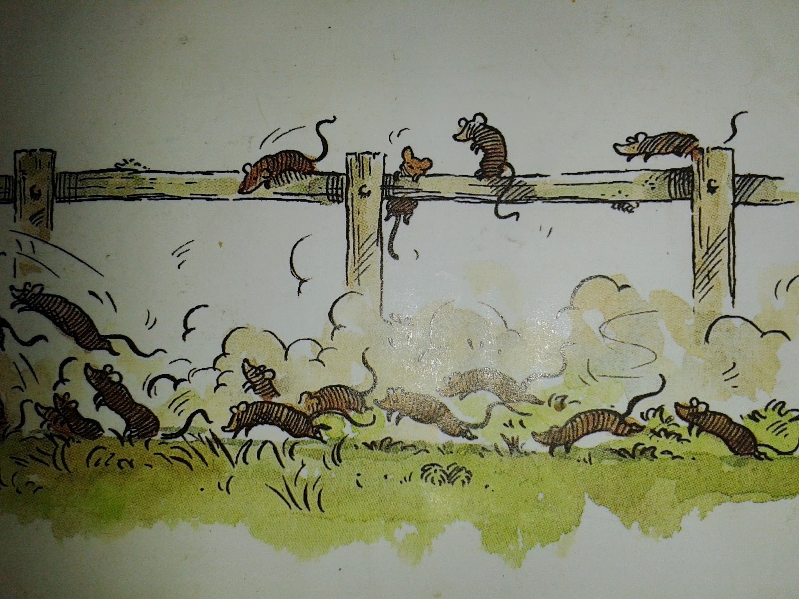 Rubbish School Books Rats come to life and eat book