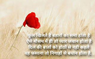 best shayari for love in hindi