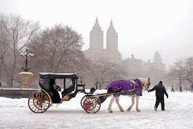 NYC ♥ NYC: Iconic Horse-Drawn Carriage Rides in Central Park