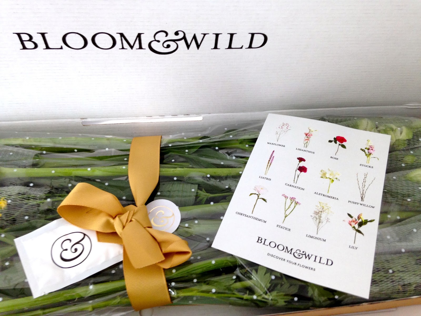 Bloom & Wild Letterbox Flowers